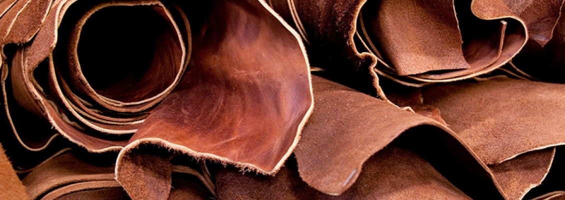 Methods of care and maintenance of natural leather